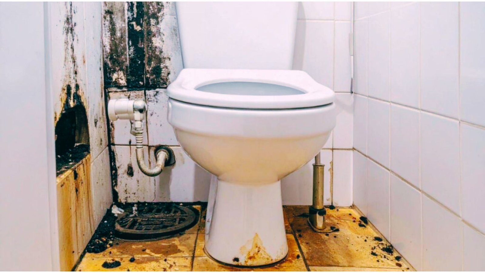A dirty bathroom with a white toilet surrounded by black mold, stained walls, rust marks, and grime on the tiled floor.